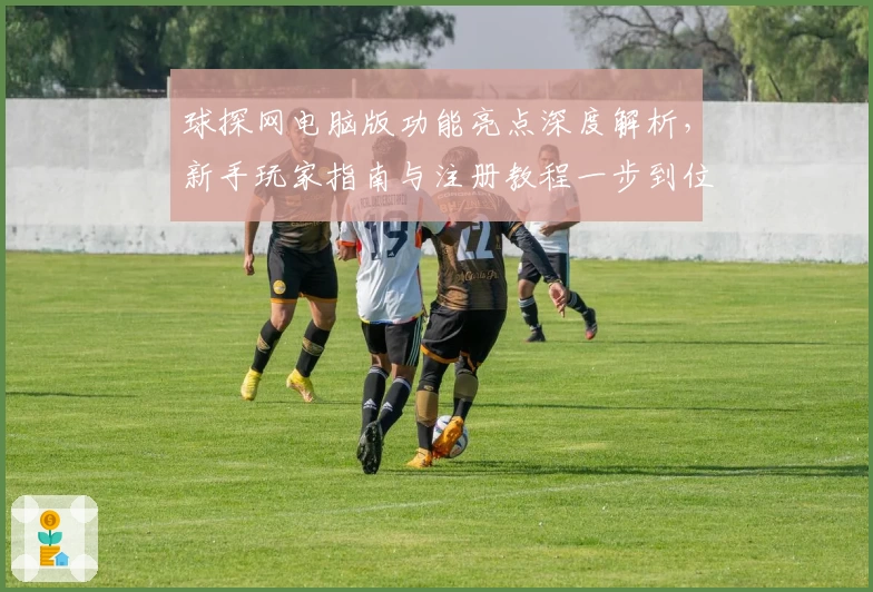 球探网电脑版功能亮点深度解析，新手玩家指南与注册教程一步到位