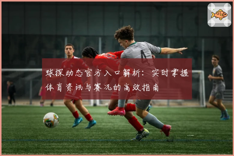 球探动态官方入口解析：实时掌握体育资讯与赛况的高效指南