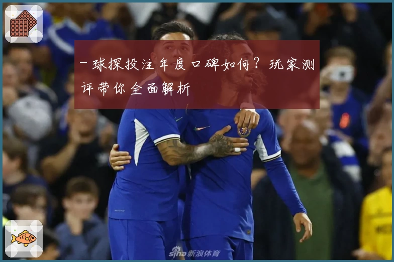 - 球探投注年度口碑如何？玩家测评带你全面解析