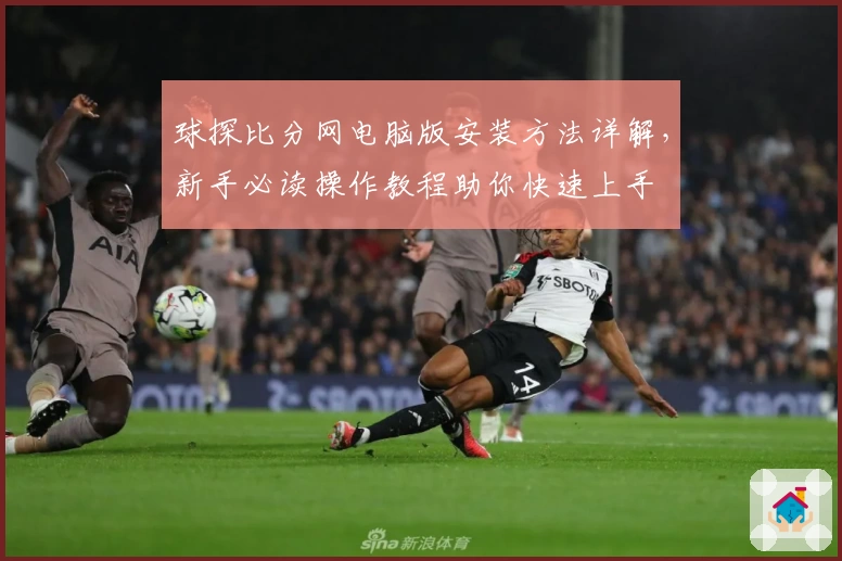 球探比分网电脑版安装方法详解，新手必读操作教程助你快速上手
